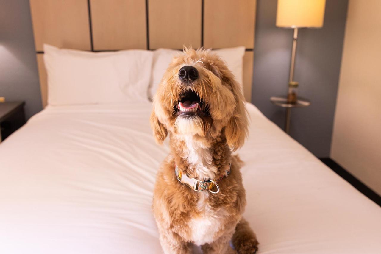 Sonesta Simply Suites St Louis Earth City Buitenkant foto