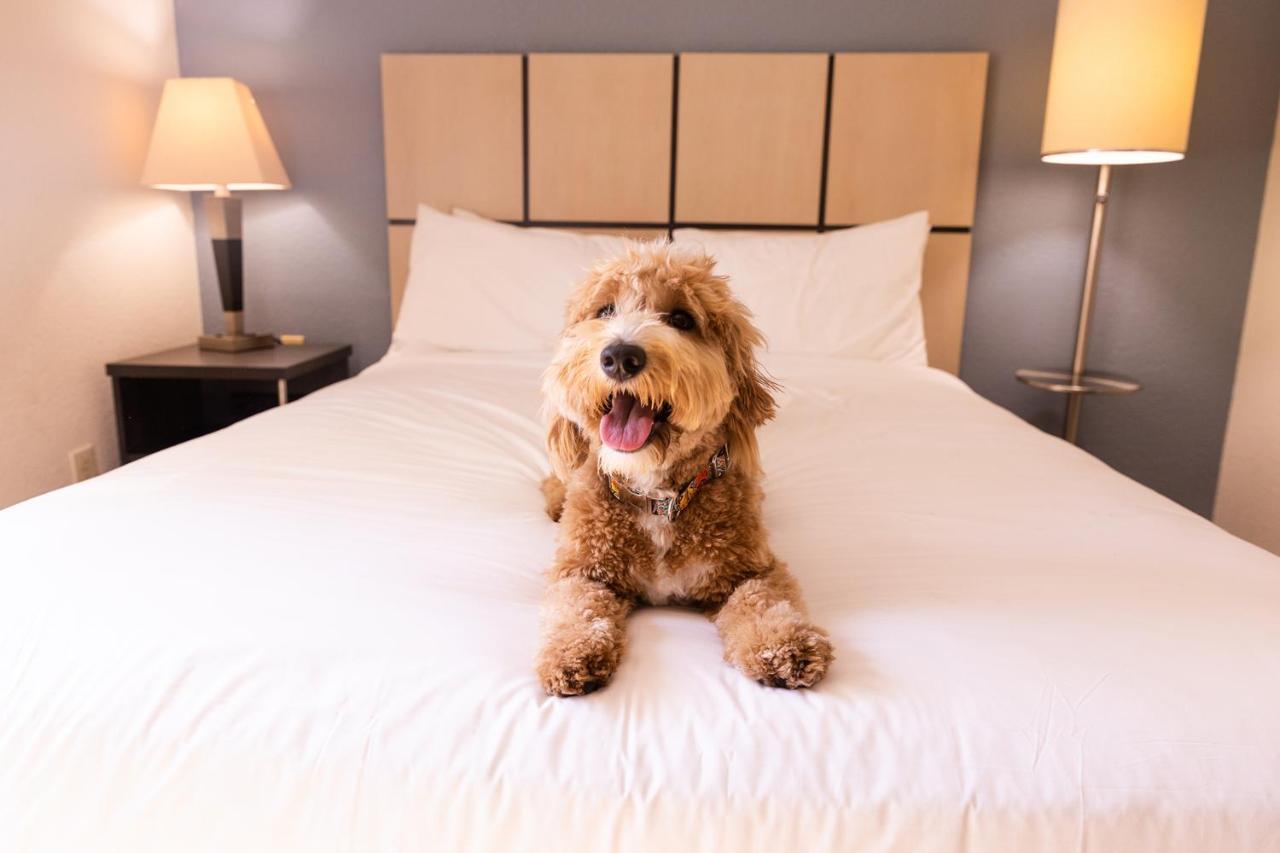 Sonesta Simply Suites St Louis Earth City Buitenkant foto